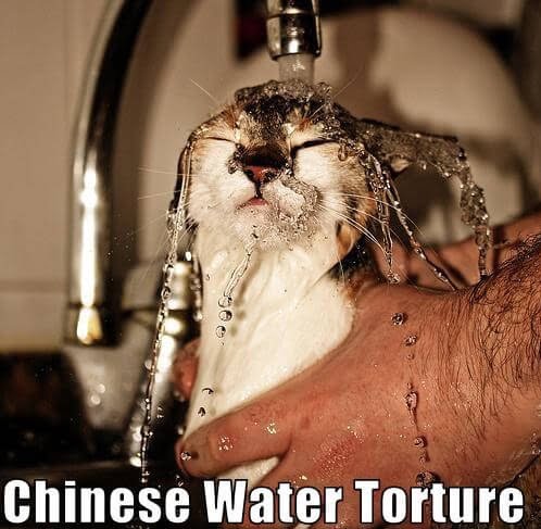 Chinese Water Torture